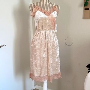 Madison & Berkeley Blush Crushed Velvet Dress NWT